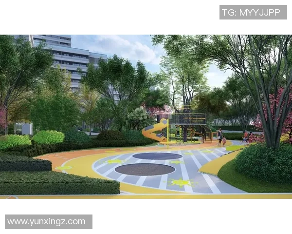 深圳乒乓球队的崛起与成长之路全景揭秘与未来展望